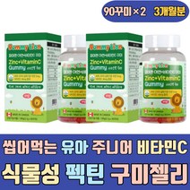 씹어먹는 유아 주니어 비타민C 식물성 펙틴 구미젤리 비타민씨 영양제 캐나다 건강보조식품 가루 분말 제품 파우더 캡슐 음식 스틱 고함량 고용량 하루권장량 프리미엄 여성 남자 임산부