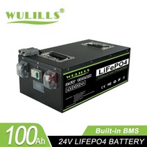 충전식 배터리 안전 금속 케이스 24v 100Ah 200Ah 48v 50Ah lifepo4 RV 캠핑카 태양열 세금 없음 120Ah, 24v 100AH-B