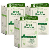 뉴트리랩스 브레인 포스맥스 180캡슐