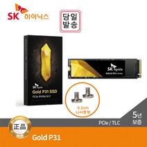 _SKHynix Gold P31 M.2 NVMe SSD 500GB~2TB_[고정나사 증정], _M.2 NVMe_, 2TB_