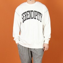 우기브로 WWF 남자 빅사이즈 SERENDIPITY 나염 반전 맨투맨