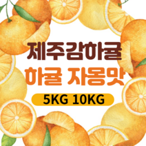 하귤 제주감하귤 나스 아마나스 자몽맛 5kg 10kg