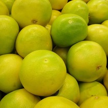 [주문당일수령하는]메로골드자몽 3.5kg 6과내외