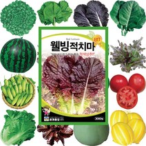 텃밭채소 로메인종자 콩씨앗 부추씨앗 꽃씨몰 고들빼기씨앗 해바라기 상추씨 씨앗심기