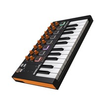 Arturia MiniLab MK2 Controller 키보드 디지털피아노 건반, MKIILAB 25