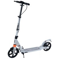 전동 킥보드 2발 10인치 접이식 휴대용 성인 대리기사 조절 가능한 높이 2 휠 핸드 및 데크 후면 펜더 브레이크 스케이트 보드 비전기 킥 스쿠터, 다른, 06 기타