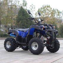 사륜바이크 ATV UTV 사륜오토바이 250CC 4륜 오프로드 오토바이 크기 황소 더블 모든 지형 장소 사막 산악 자전거, 8. 빅 불 세트 5
