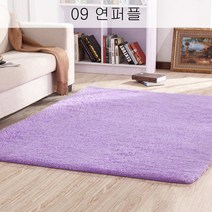 뉴타임즈3 카펫은 심플하고 현대적인 침실에 사랑스러운 거실 다탁 소파방 공주 침대 침대 방석 XT16 A17