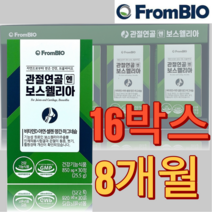 식약처인증 홈쇼핑보스웰리아 boswellia 2세대보스웰리아 보스웰리아추추물 보스웰리아프리미엄 관절연골엔보스웰리아 8개월 16박스