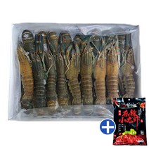 마라롱샤 냉동민물가재 마라소스포함 크레이피시 1kg, 25미 이상, 1개