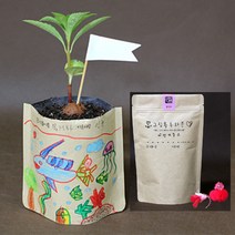 봉선화 키우기 키트 그림봉투화분 텃밭 베란다 식물기르기 초등 유치원 diy, 단품