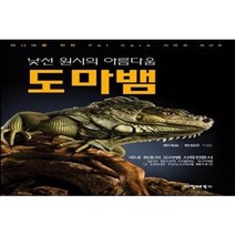 낯선 원시의 아름다움 도마뱀 / 파충류서적 도마뱀용품 육지거북이 뱀 애완책 책