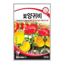 양귀비씨앗 2000립 양귀비 꽃씨앗 꽃양귀비 꽃씨, 1개