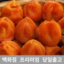 [특등급] 반건시3KG 곶감 반건시 건곶감 감 반건시 건곶감 곶감의효능 곶감말이 곶감요리 흑곶감 곶감효능 반건시곶감 곶감선물세트 대봉곶감 못난이곶감 곶감, 3KG