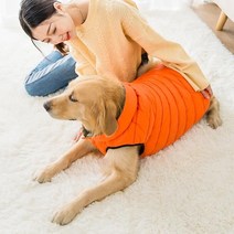 댕댕샤 중대형견 겨울 패딩 반려견 옷 강아지패딩, 레드