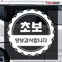 포인트 초보운전 데칼스티커 여러가지 개성 모닝 레터링 기스제거제 첫차, 블랙, 중형