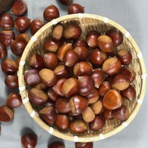 국내산 부여 군밤 용 칼집 밤 포르단 1kg 2kg, 포르단 칼집밤 1kg