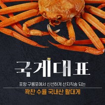 프리미엄 박달대게 500g (1마리 기준)