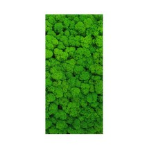 테라스 인조 잔디 이끼 벽 녹색 식물 DIY 미니 가든 에코 병 마이크로 조경 장식, 200g dark green, 200g dark green