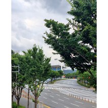 200x200 암막블라인드 (방염필증 세금계산서) 대구지역 설치