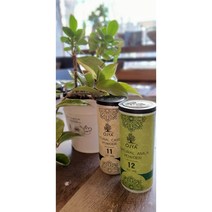 강아지허브팩 반려견 털 악취 민감 피부치료 아유르베다 천연 오자 애견허브 팩, 리뉴얼 카시아(무색 피부/모발관리용)