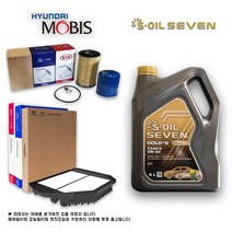 더뉴 맥스크루즈 3.3 가솔린 세븐골드 합성유 세트
