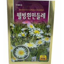 흰 민들레씨앗50립 국산 식용하얀민들레 약용토종민들레 꽃 미래종묘