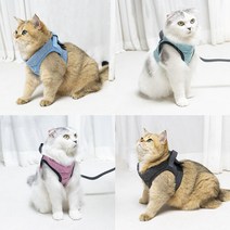 고양이산책줄 가슴줄 하네스 목줄 고양이전용 쿠션 산책줄 에어핏 산책냥이 산책냥, 민트