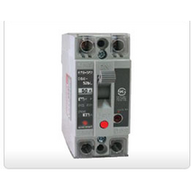 동아 DSE52b 30A 동아전기공업 ELCB 2P 30A AC220V 2.5KA