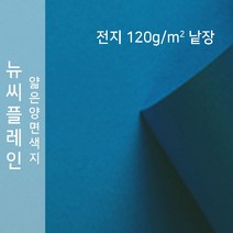 뉴씨플레인 종이문화 얇은 양면색지 120g 전지 낱장 1매 No.65 남색, 1장