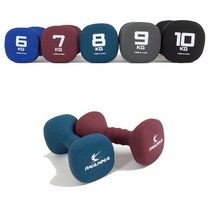 네오프렌 컬러 아령 0.5kg부터 10kg까지 미용 다이어트, 6kg, 1개