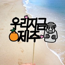 빅토리아데코 새해토퍼 크리스마스 신혼 가족 여행토퍼 피켓 투명 부채토퍼 케이크토퍼 메세지픽 제작, 1개, 여행토퍼_A-317-2-우리지금제주(색지작업)