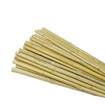 XYBAOBAO 천연 식물 말뚝 정원 대나무 25개 지지 7.6cm 25인치 7.9m 2.9피트