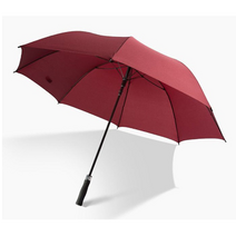 앤리이니 대형 특대형 150cm 골프 자동 큰우산 장우산