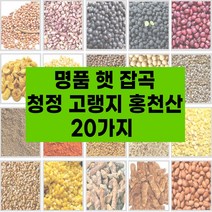 국산 햇 잡곡 20종 고랭지 강원도 홍천산 잡곡 참깨 수수쌀 호랑이줄단콩 약콩 서리태 적두 들깨 능근옥수수 밤쌀 백태 볶음땅콩 깐녹두 둥굴래 자연산, 햇잡곡:2.호랑줄단콩700g