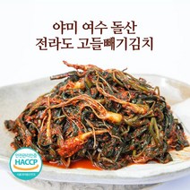 야미 여수 전라도 고들빼기 김치 500g 1kg 2kg, 1개