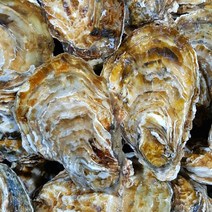 <산지직송> 깔끔세척 석화 각굴 석화+홍가리비세트 5Kg 10Kg 15Kg 20Kg/생산자산지직송/쿠팡도착일과 다름/상세페이지 참고/통영 성우수산/굴 생굴, 석화5Kg+홍가리비2kg” class=”wr-img”></a></div></p></div></p></div></p></div><div class=