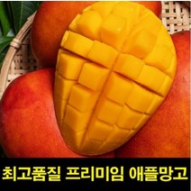 고씨네 특급 애플망고후숙 수입애플망고 애플망고 2KG, 특급 애플망고 2kg