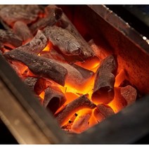 도매인싸 심각하게 오래타는 숯 1kg 비장탄 다량함유 바베큐 캠핑 참숯 품질보장, 숯 1kg 5개