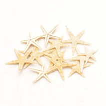 조개껍질 조개껍데기 소라껍데기 소라껍질, 봉, D06 불가사리 (중)