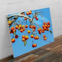 tc753-폼아크릴액자78CmX56Cm_돈들어오는감그림2, 3.성공