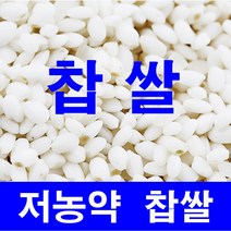 햅쌀저농약쌀20kg 강화섬쌀 당일도정, 찹쌀20kg