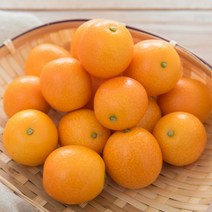 새콤달콤 한입에 쏙 제주 금귤 낑깡, 1box, 1kg