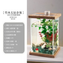 네온테트라 희귀열대어 새우키우기 어항꾸미기 루돌프구피 하프문베타 엔젤피쉬A09, 옵션8