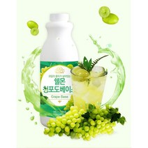 쉘몬 과일 농축액 베이스 청포도 1kg/시럽/원액/에이드, 쉘몬 과일 농축액 베이스 청포도 1kg