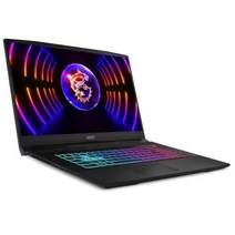 MSI 2023 스워드 GF76 17.3, 블랙, 코어i7, 16GB, 1TB, WIN11 Home, B12VEK (215)