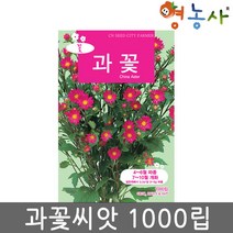 과꽃씨앗 중포장 1000립, 과꽃중포장