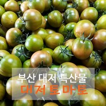 대저 토마토 풍부한 맛의 프리미엄 대저토마토 2.5kg 5kg 산지직송, 1box, 2.5kg(3-4번과)