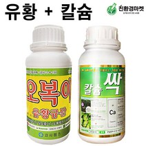 오복이 칼슘싹 세트 500ml - 유황규산 코시팜스 칼슘싹 캡마그 루트칼 고추 배추 마늘 양파 비료 모두싹, 오복이500ml + 칼슘싹500ml (유황규산 칼슘)