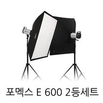 포멕스 E600 SS-A세트 촬영조명 스트로브 순간광 의류 및 제품 촬영 스튜디오, 1개